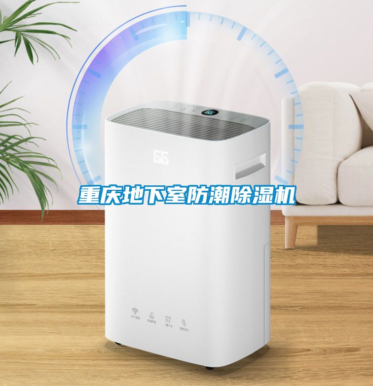 重慶地下室防潮除濕機