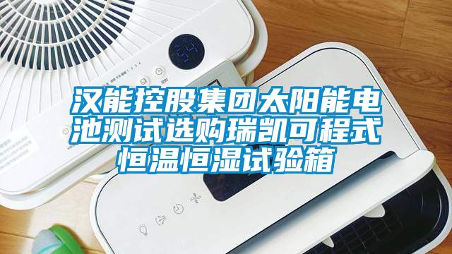 漢能控股集團太陽(yáng)能電池測試選購瑞凱可程式恒溫恒濕試驗箱