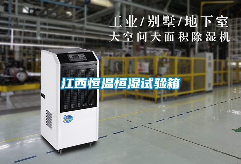 江西恒溫恒濕試驗(yàn)箱