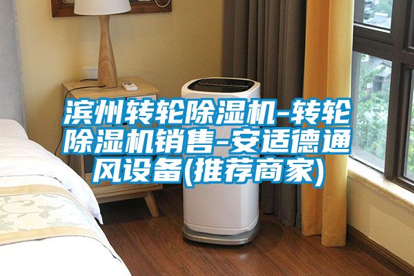 濱州轉(zhuǎn)輪除濕機-轉(zhuǎn)輪除濕機銷售-安適德通風設(shè)備(推薦商家)