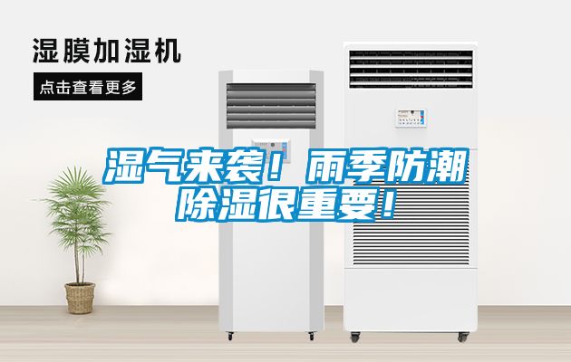 濕氣來(lái)襲！雨季防潮除濕很重要！