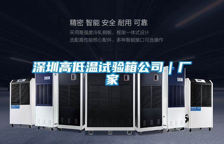 深圳高低溫試驗(yàn)箱公司｜廠家