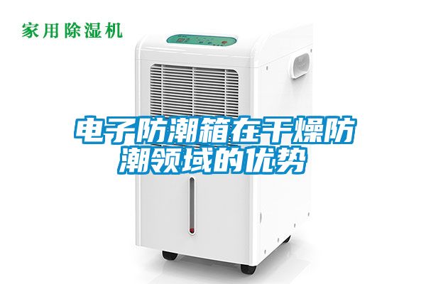 電子防潮箱在干燥防潮領(lǐng)域的優(yōu)勢(shì)
