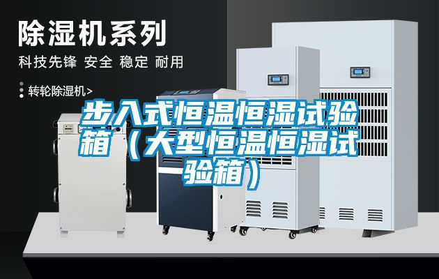 步入式恒溫恒濕試驗箱（大型恒溫恒濕試驗箱）