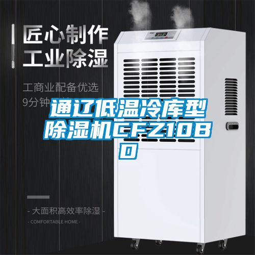 通遼低溫冷庫(kù)型除濕機(jī)CFZ10BD