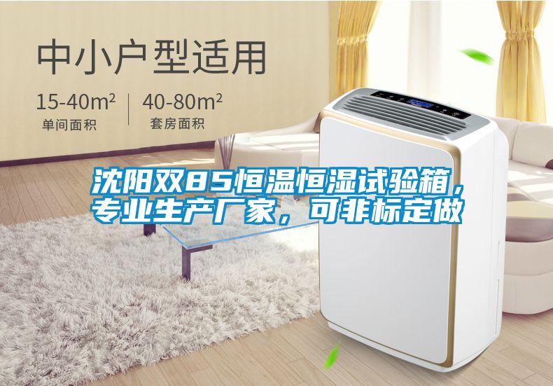 沈陽(yáng)雙85恒溫恒濕試驗箱，專(zhuān)業(yè)生產(chǎn)廠(chǎng)家，可非標定做