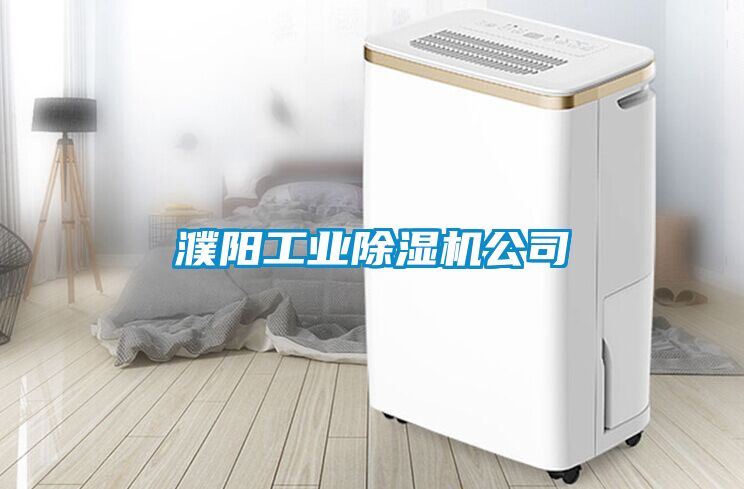 濮陽(yáng)工業(yè)除濕機公司