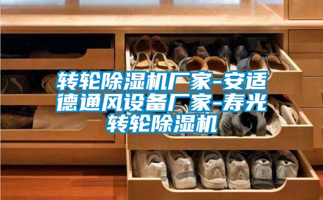 轉(zhuǎn)輪除濕機廠家-安適德通風(fēng)設(shè)備廠家-壽光轉(zhuǎn)輪除濕機