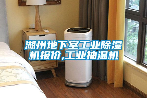 湖州地下室工業(yè)除濕機報價(jià),工業(yè)抽濕機