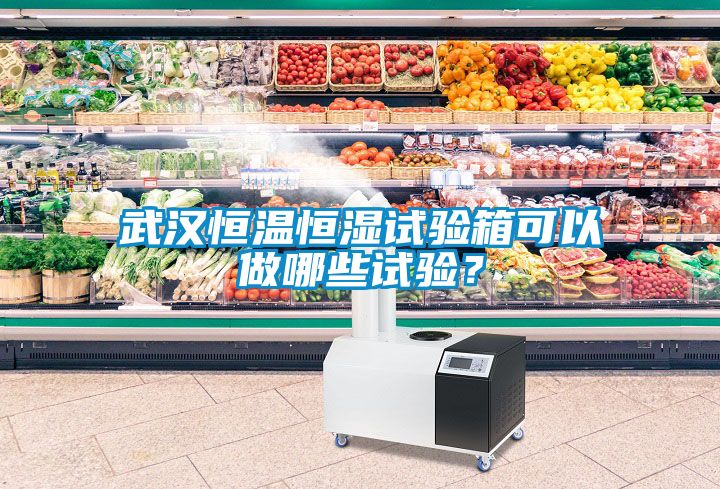 武漢恒溫恒濕試驗箱可以做哪些試驗？