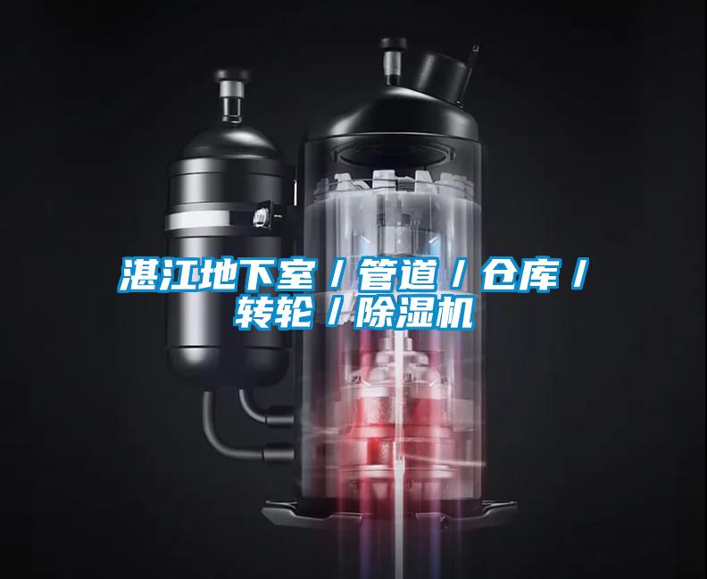 湛江地下室／管道／倉庫／轉輪／除濕機