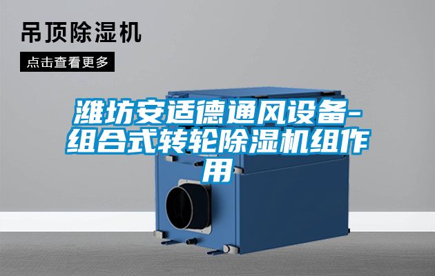 濰坊安適德通風(fēng)設備-組合式轉輪除濕機組作用