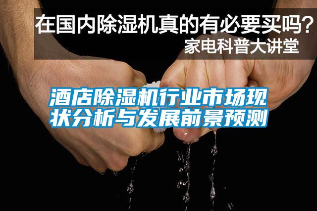 酒店除濕機(jī)行業(yè)市場現(xiàn)狀分析與發(fā)展前景預(yù)測
