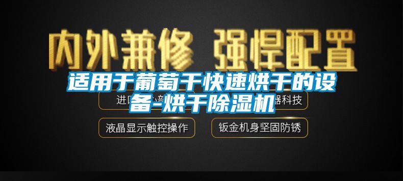 適用于葡萄干快速烘干的設(shè)備-烘干除濕機(jī)