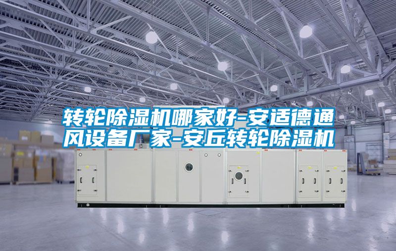 轉輪除濕機哪家好-安適德通風(fēng)設備廠(chǎng)家-安丘轉輪除濕機