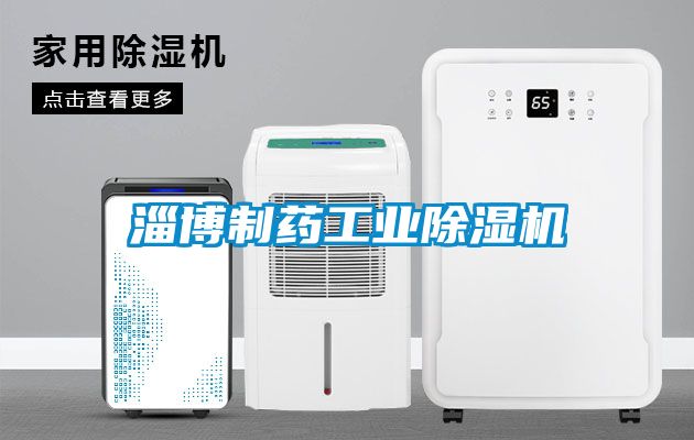 淄博制藥工業(yè)除濕機(jī)