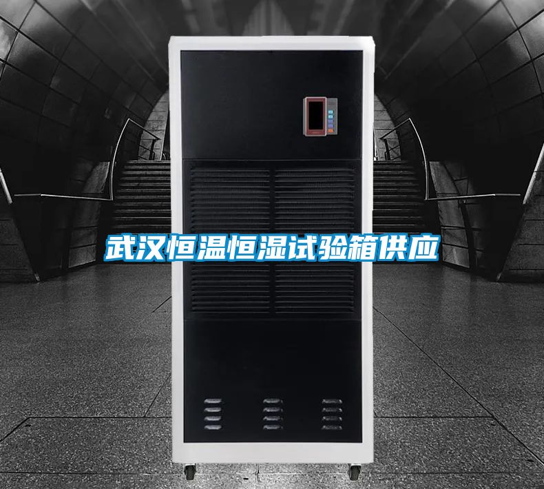 武漢恒溫恒濕試驗(yàn)箱供應(yīng)