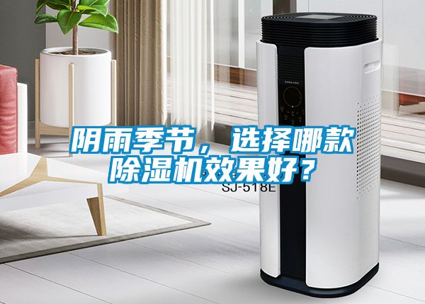 陰雨季節，選擇哪款除濕機效果好？