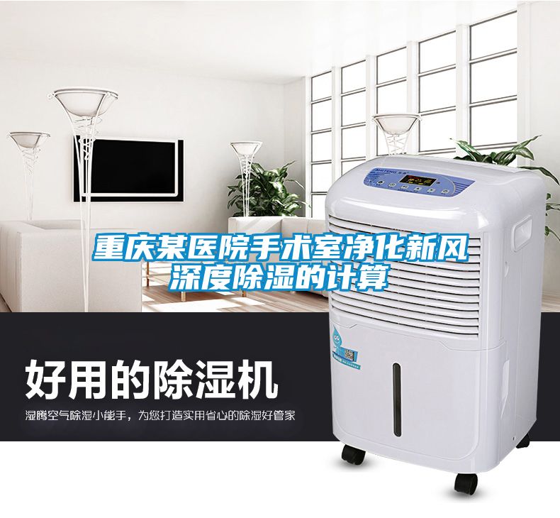 重慶某醫院手術(shù)室凈化新風(fēng)深度除濕的計算