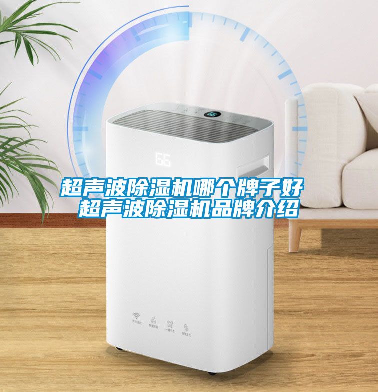 超聲波除濕機哪個(gè)牌子好 超聲波除濕機品牌介紹