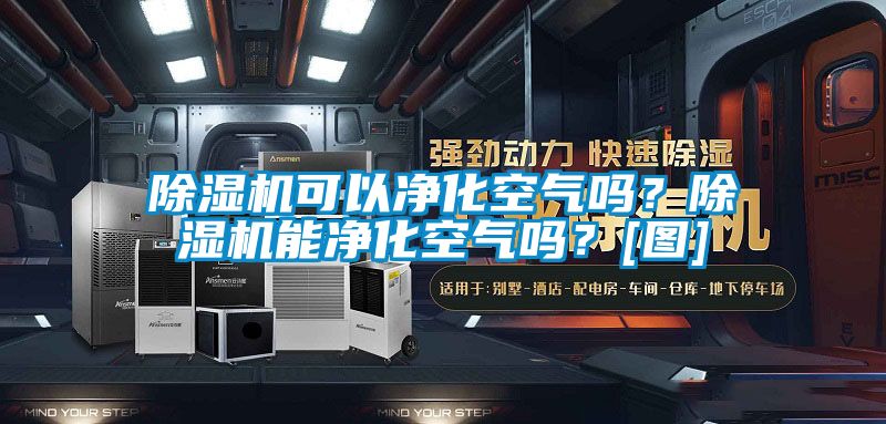 除濕機可以?xún)艋諝鈫?？除濕機能凈化空氣嗎？[圖]