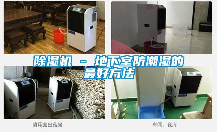 除濕機 - 地下室防潮濕的最好方法