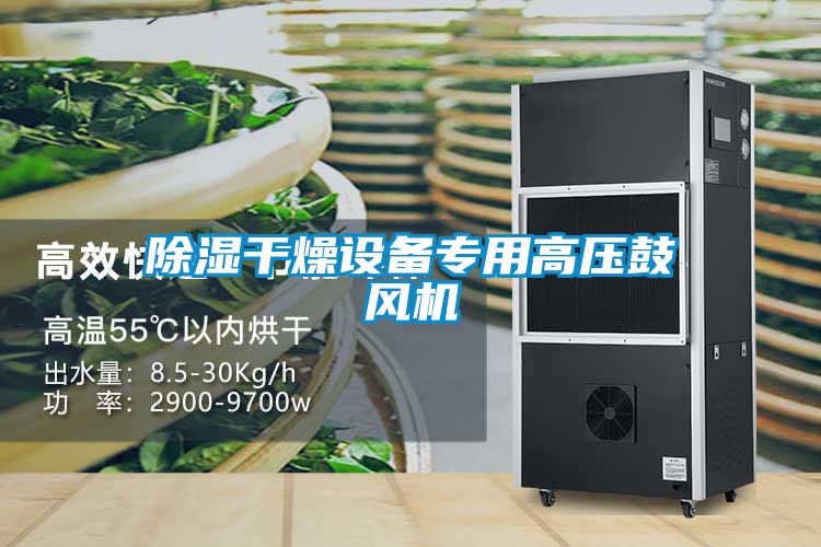 除濕干燥設備專(zhuān)用高壓鼓風(fēng)機