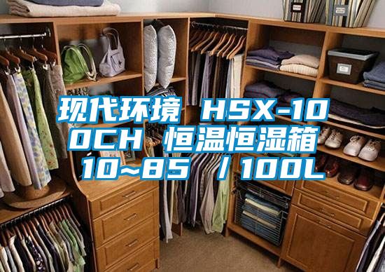 現代環(huán)境 HSX-100CH 恒溫恒濕箱 10~85℃／100L
