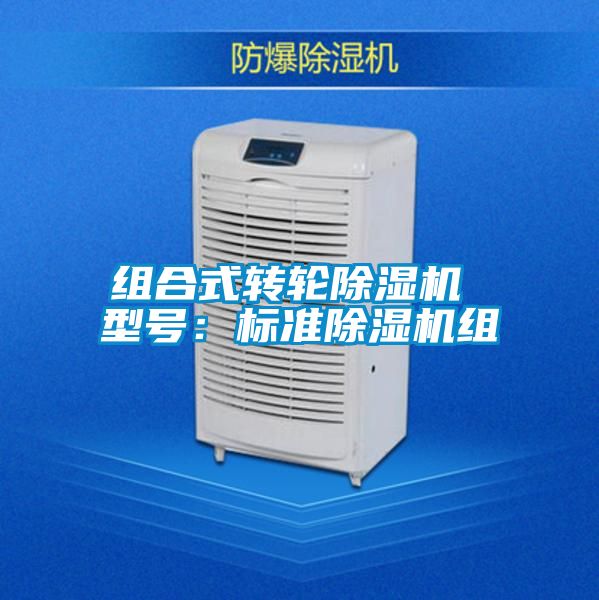 組合式轉(zhuǎn)輪除濕機 型號：標準除濕機組