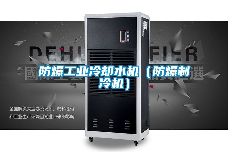 防爆工業(yè)冷卻水機（防爆制冷機）