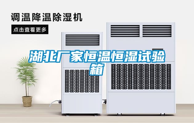 湖北廠(chǎng)家恒溫恒濕試驗箱