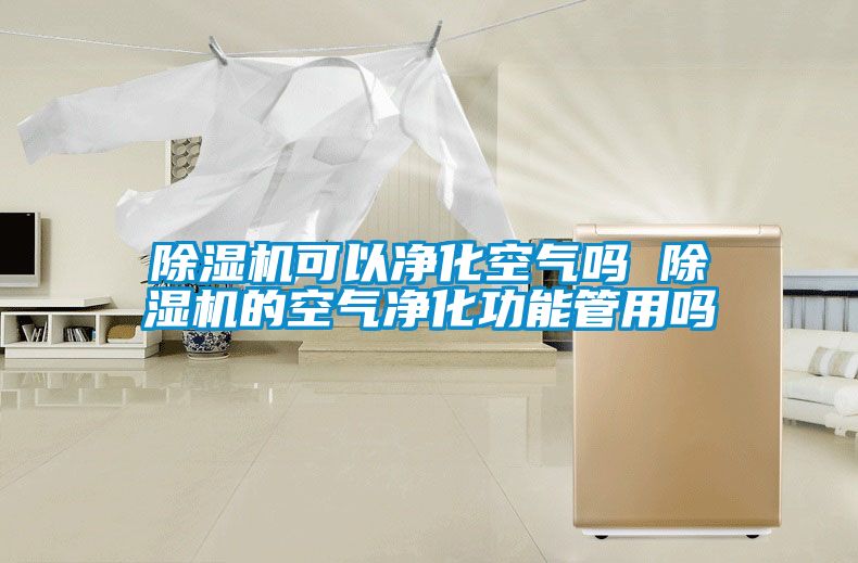 除濕機(jī)可以凈化空氣嗎 除濕機(jī)的空氣凈化功能管用嗎