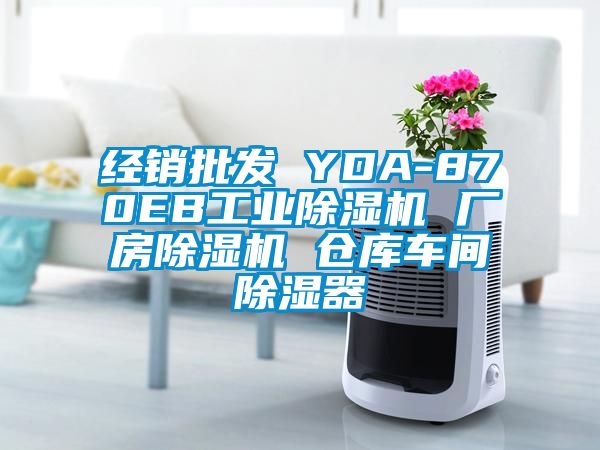 經(jīng)銷批發(fā) YDA-870EB工業(yè)除濕機(jī) 廠房除濕機(jī) 倉(cāng)庫(kù)車間除濕器