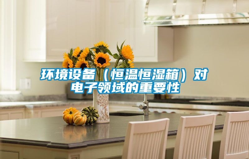 環(huán)境設備（恒溫恒濕箱）對電子領(lǐng)域的重要性