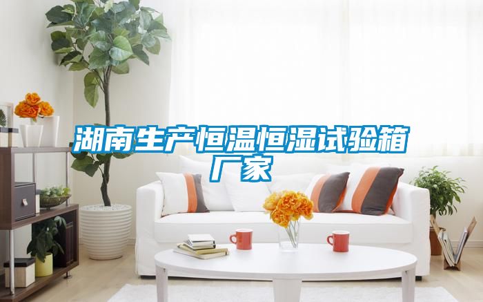 湖南生產(chǎn)恒溫恒濕試驗箱廠(chǎng)家