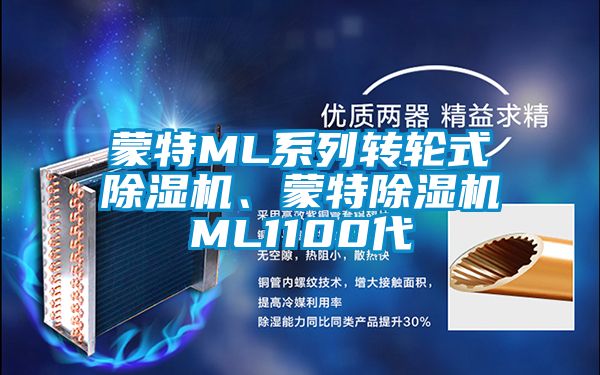 蒙特ML系列轉(zhuǎn)輪式除濕機(jī)、蒙特除濕機(jī)ML1100代