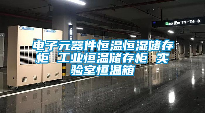 電子元器件恒溫恒濕儲存柜 工業(yè)恒溫儲存柜 實(shí)驗室恒溫箱