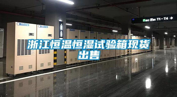 浙江恒溫恒濕試驗箱現貨出售