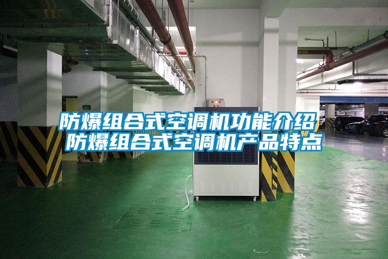 防爆組合式空調(diào)機(jī)功能介紹 防爆組合式空調(diào)機(jī)產(chǎn)品特點(diǎn)