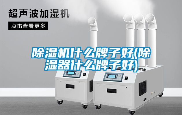 除濕機(jī)什么牌子好(除濕器什么牌子好)