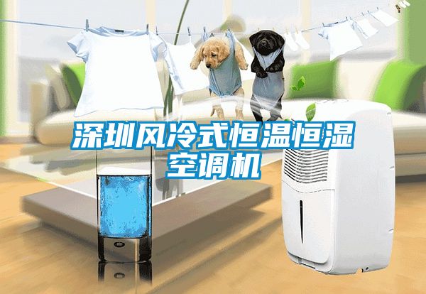 深圳風(fēng)冷式恒溫恒濕空調機
