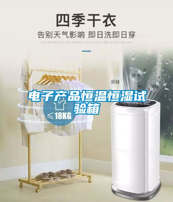 電子產(chǎn)品恒溫恒濕試驗箱