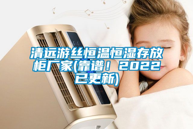 清遠游絲恒溫恒濕存放柜廠(chǎng)家(靠譜！2022已更新)