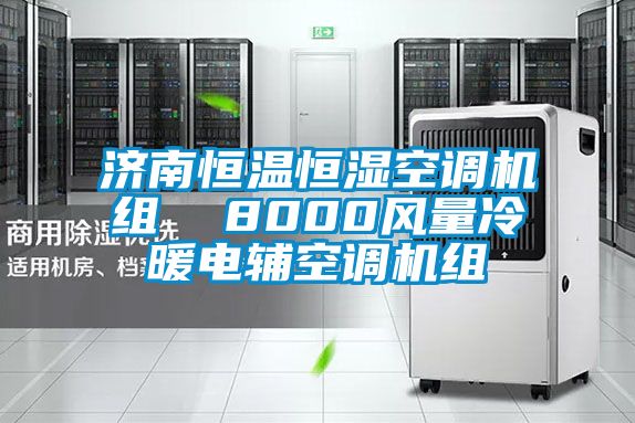濟南恒溫恒濕空調機組  8000風(fēng)量冷暖電輔空調機組
