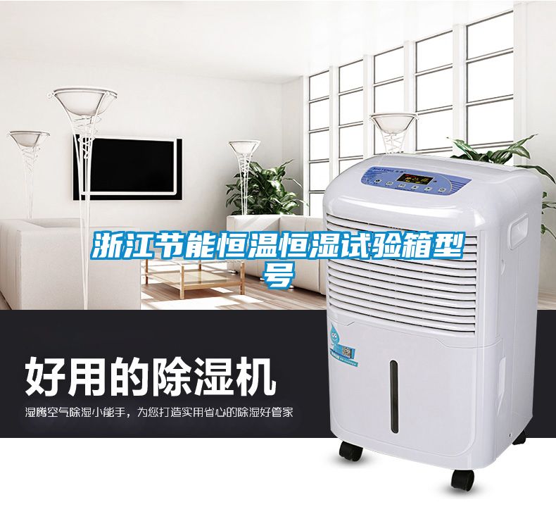 浙江節能恒溫恒濕試驗箱型號
