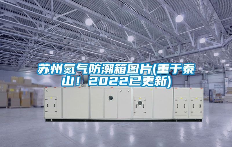 蘇州氮?dú)夥莱毕鋱D片(重于泰山！2022已更新)