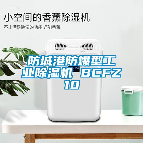 防城港防爆型工業(yè)除濕機 BCFZ10