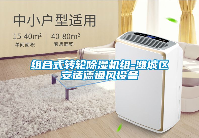 組合式轉(zhuǎn)輪除濕機組-濰城區(qū)安適德通風設備