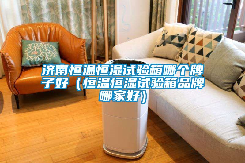 濟南恒溫恒濕試驗箱哪個(gè)牌子好（恒溫恒濕試驗箱品牌哪家好）