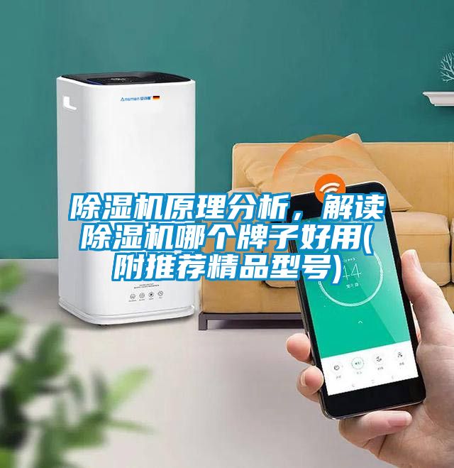 除濕機原理分析，解讀除濕機哪個牌子好用(附推薦精品型號)